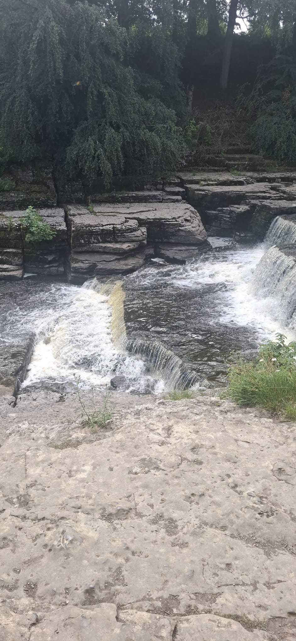 Aysgarth Falls upper cascade