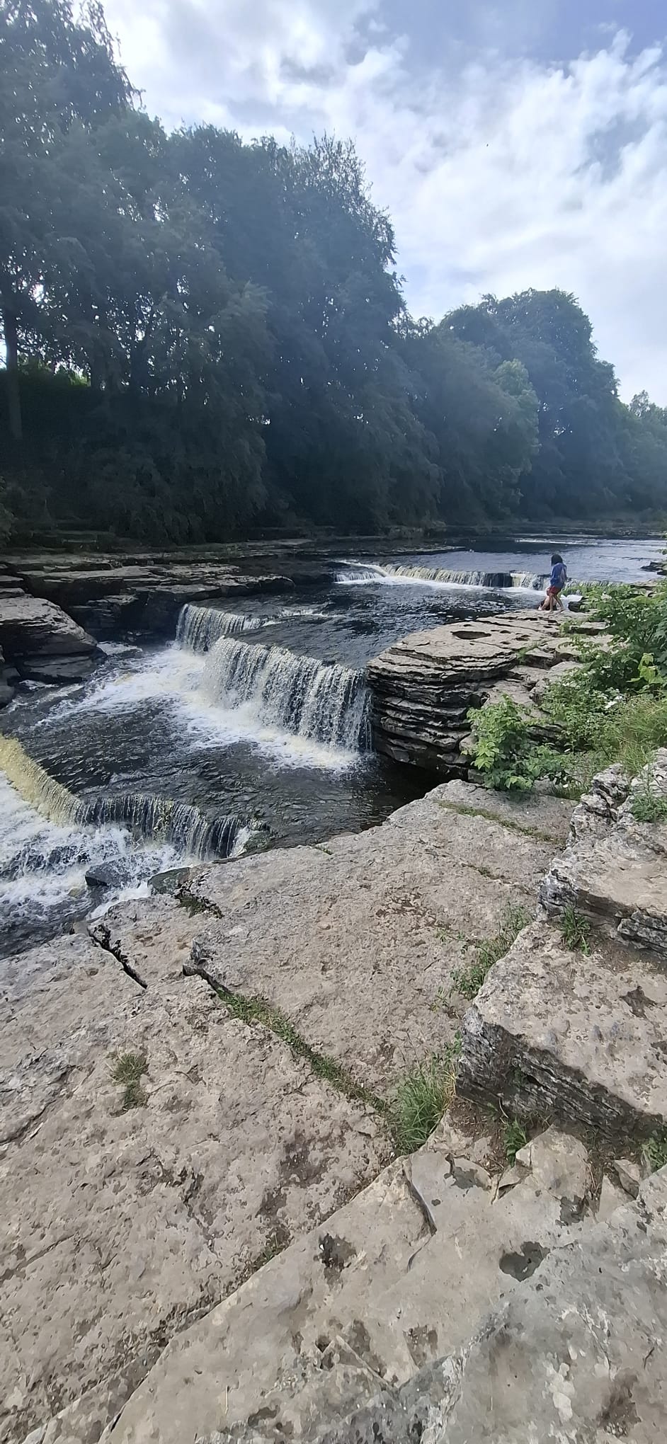 Aysgarth Falls woodland walk