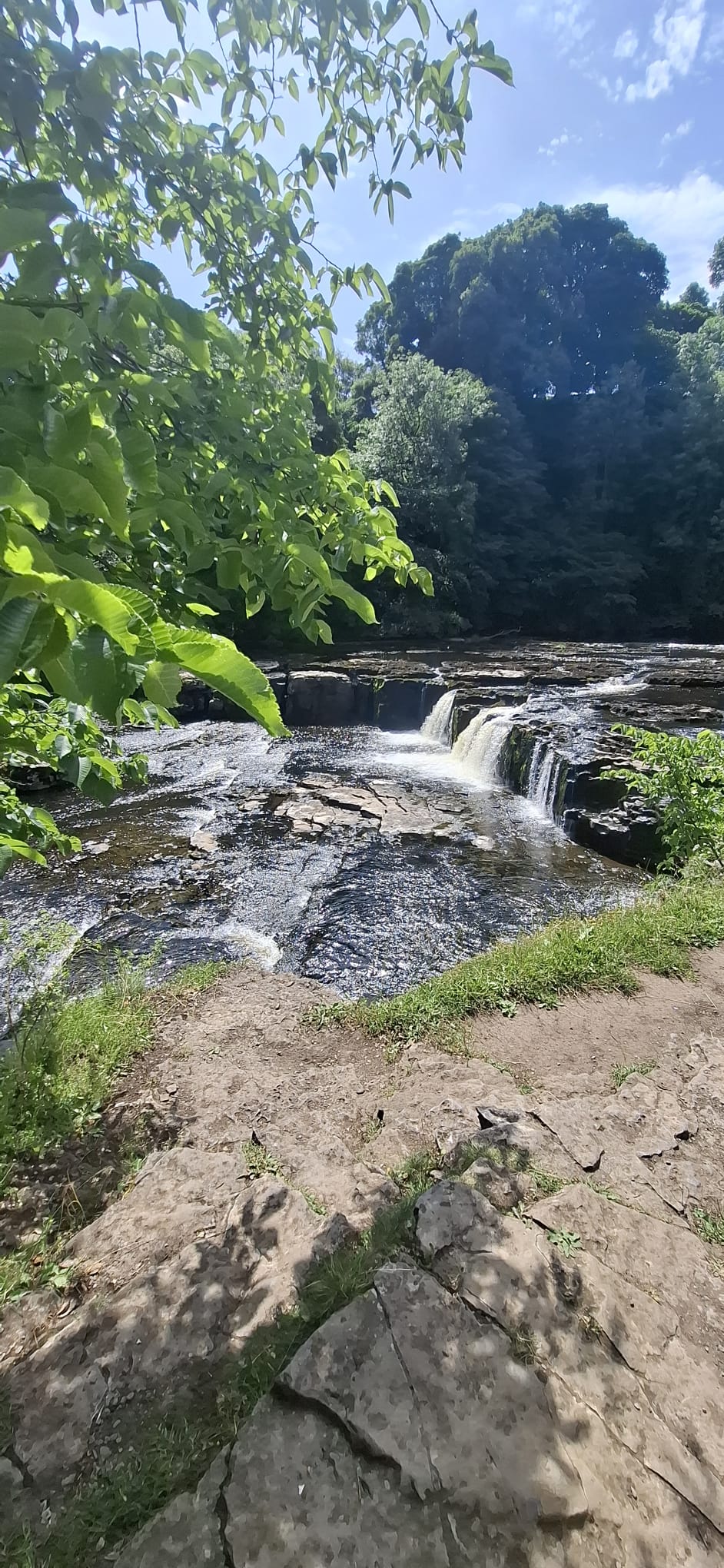Aysgarth Falls scenery